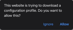 Click Allow to download configuration profile.